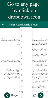 Peer Kamil Urdu Novel android App screenshot 1